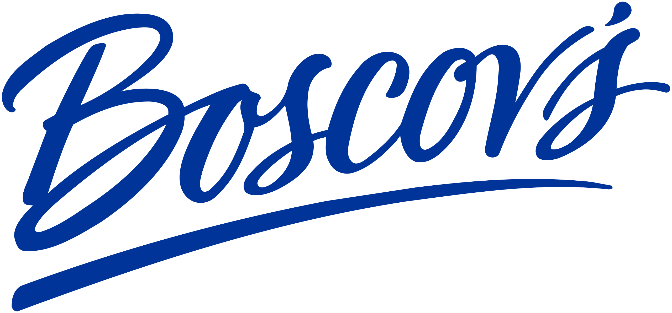 Boscov's_Logo.svg